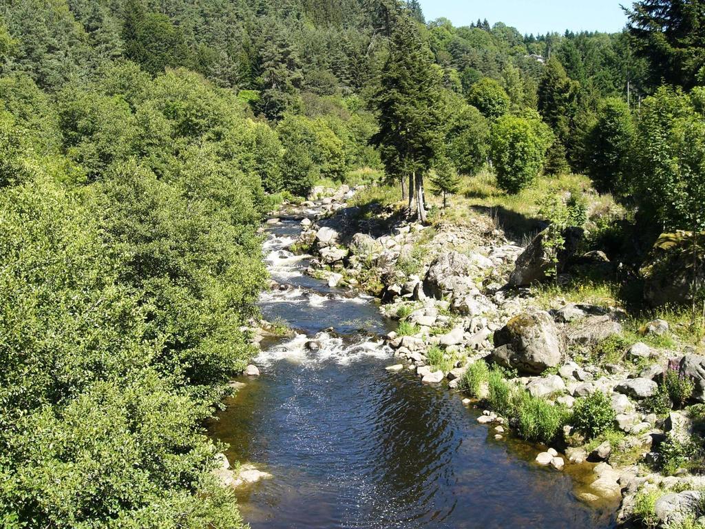 Vvf Haute Loire Haute Ardeche Tence Экстерьер фото